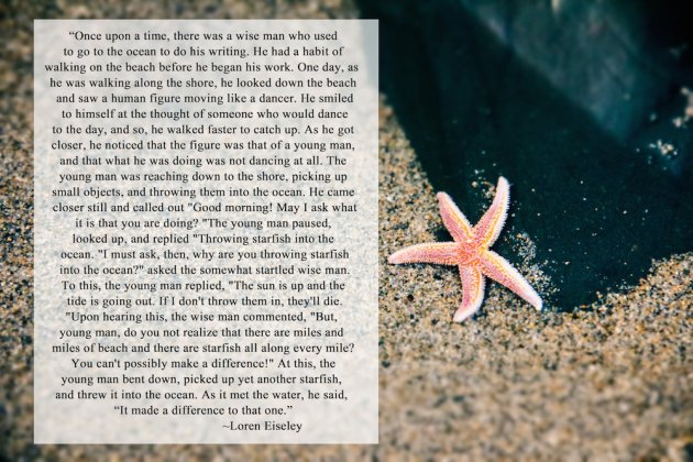 starfish story pic